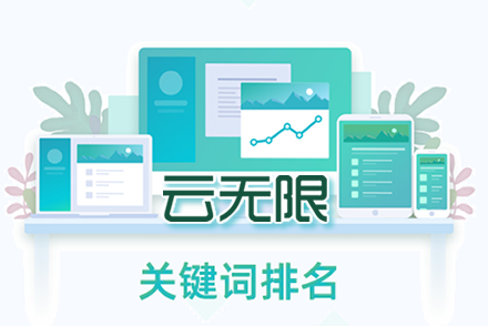 搜索引擎优化seo